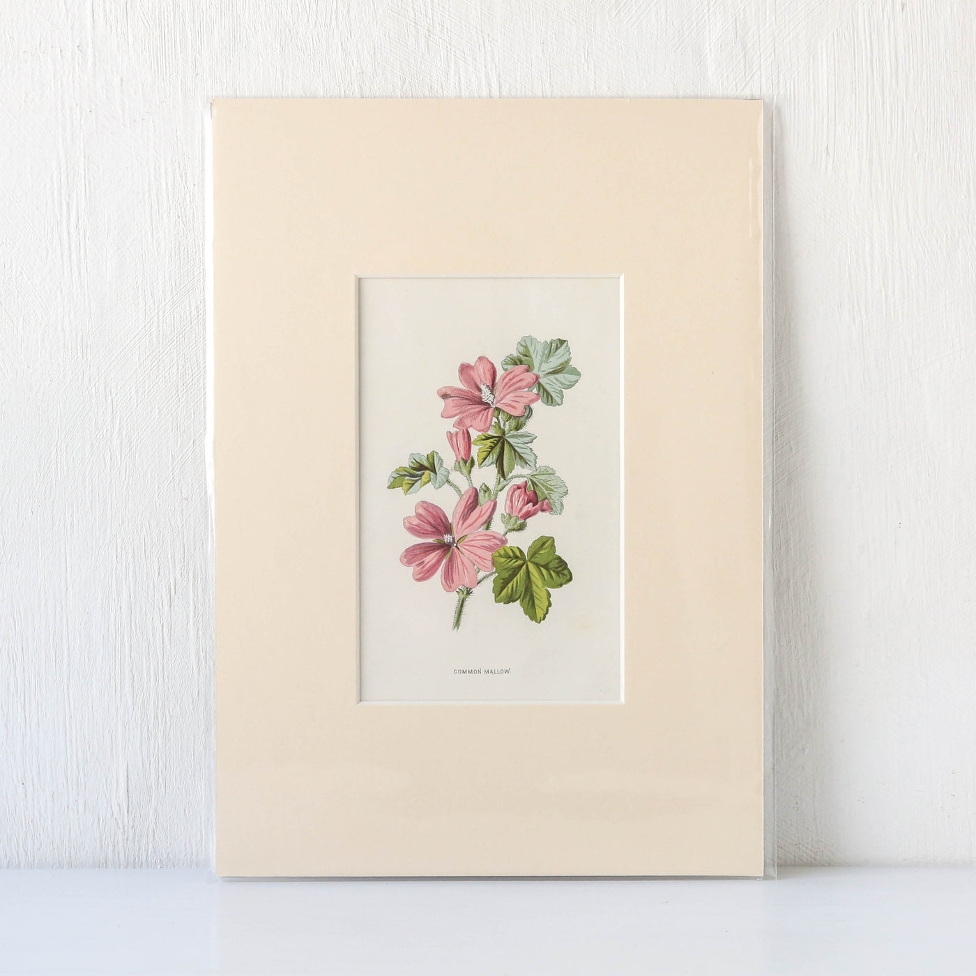 Vintage Book Plate - Pink Florals Batch G