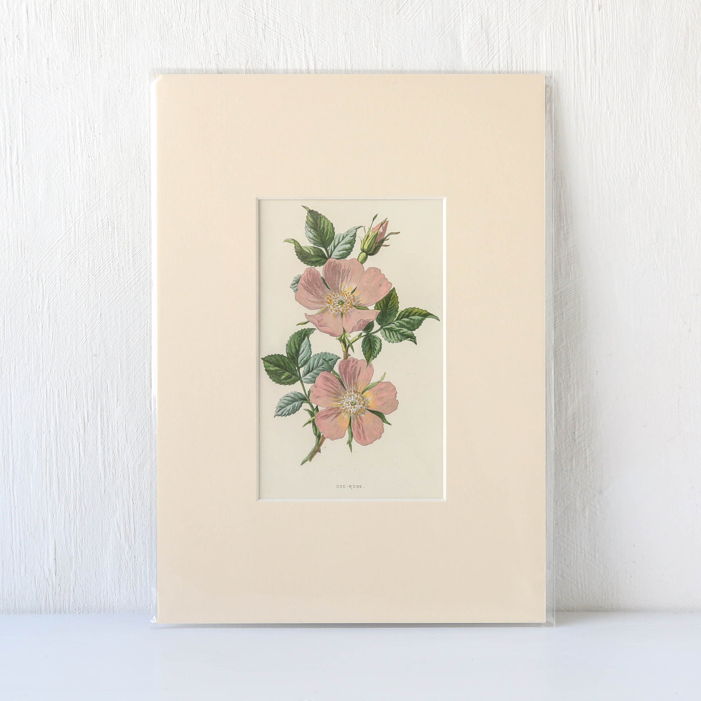Vintage Book Plate - Pink Florals Batch G