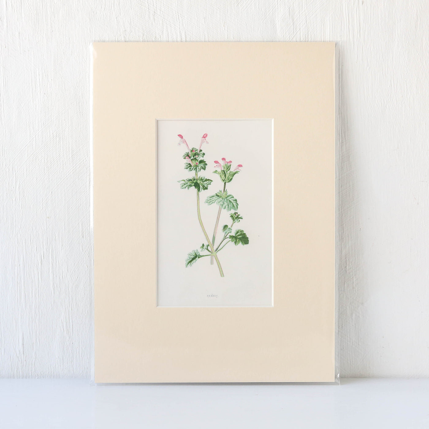 Vintage Book Plate - Pink Florals Batch G