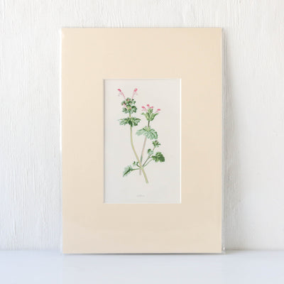 Vintage Book Plate - Pink Florals Batch G