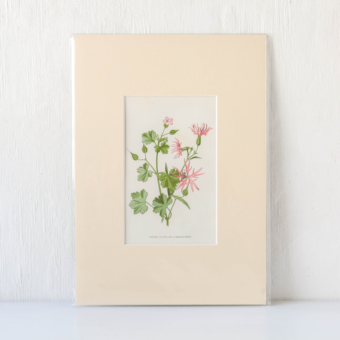 Vintage Book Plate - Pink Florals Batch G