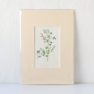 Vintage Book Plate - Pink Florals Batch G