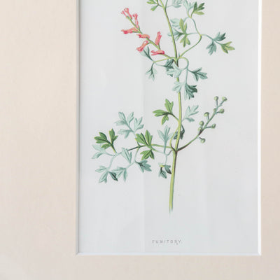 Vintage Book Plate - Pink Florals Batch G