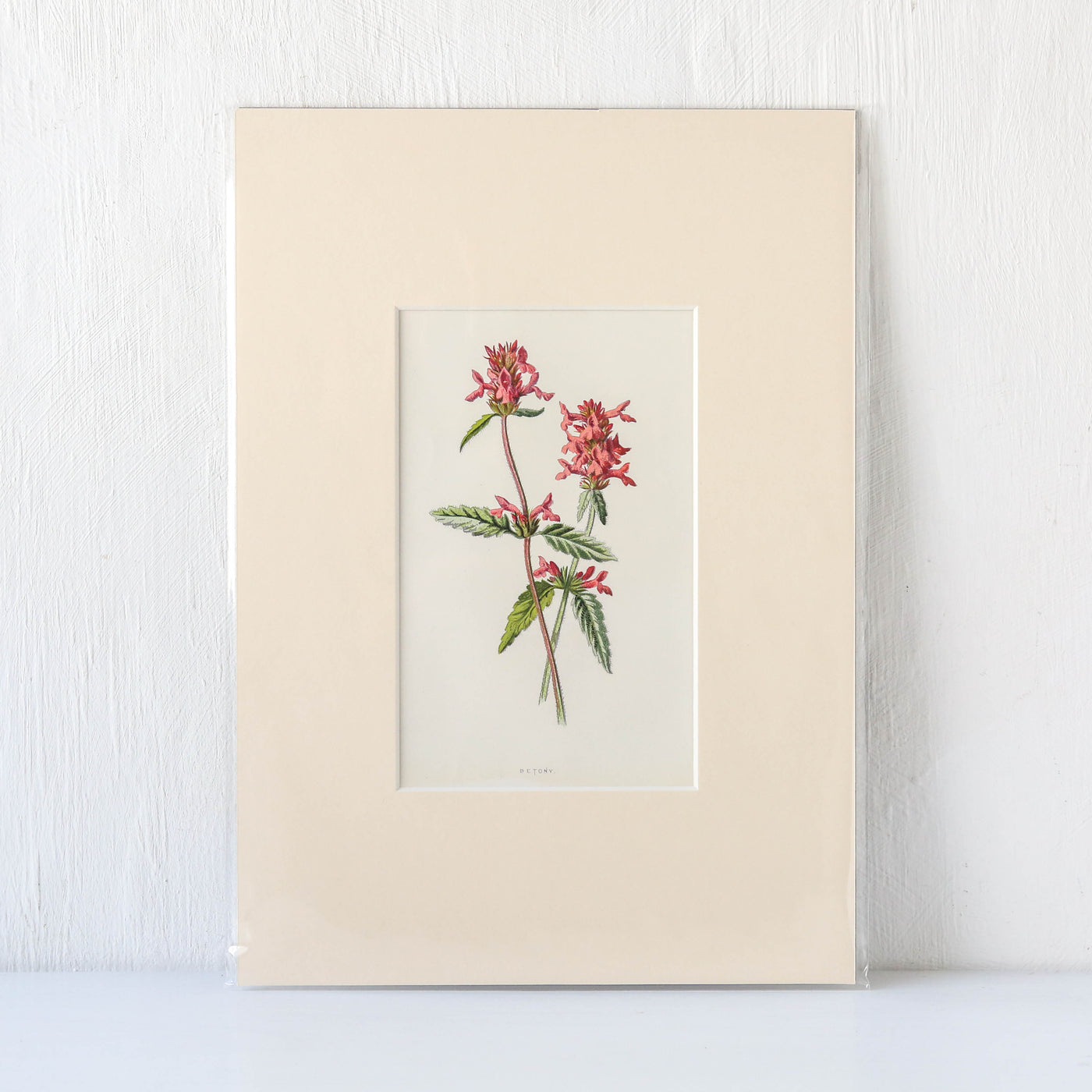 Vintage Book Plate - Pink Florals Batch G