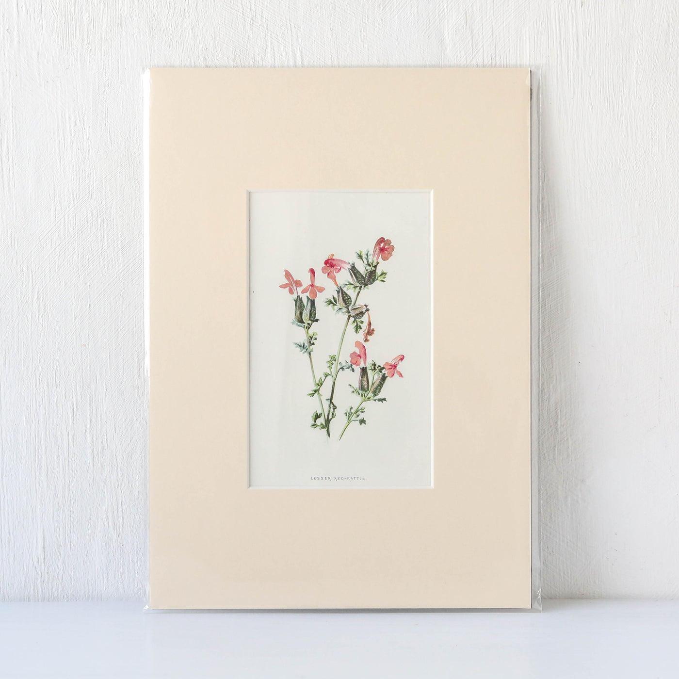 Vintage Book Plate - Pink Florals Batch G
