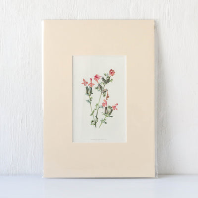 Vintage Book Plate - Pink Florals Batch G