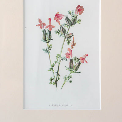 Vintage Book Plate - Pink Florals Batch G