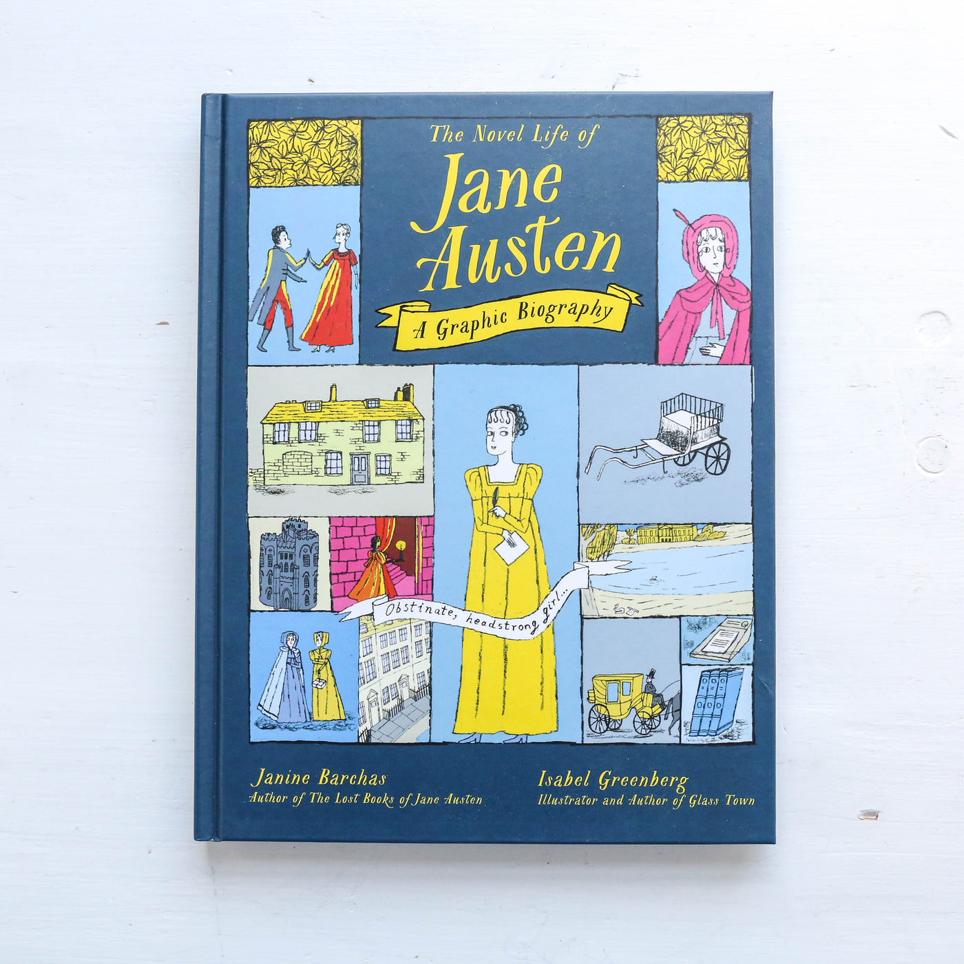 The Novel Life of Jane Austen : A Graphic Biography