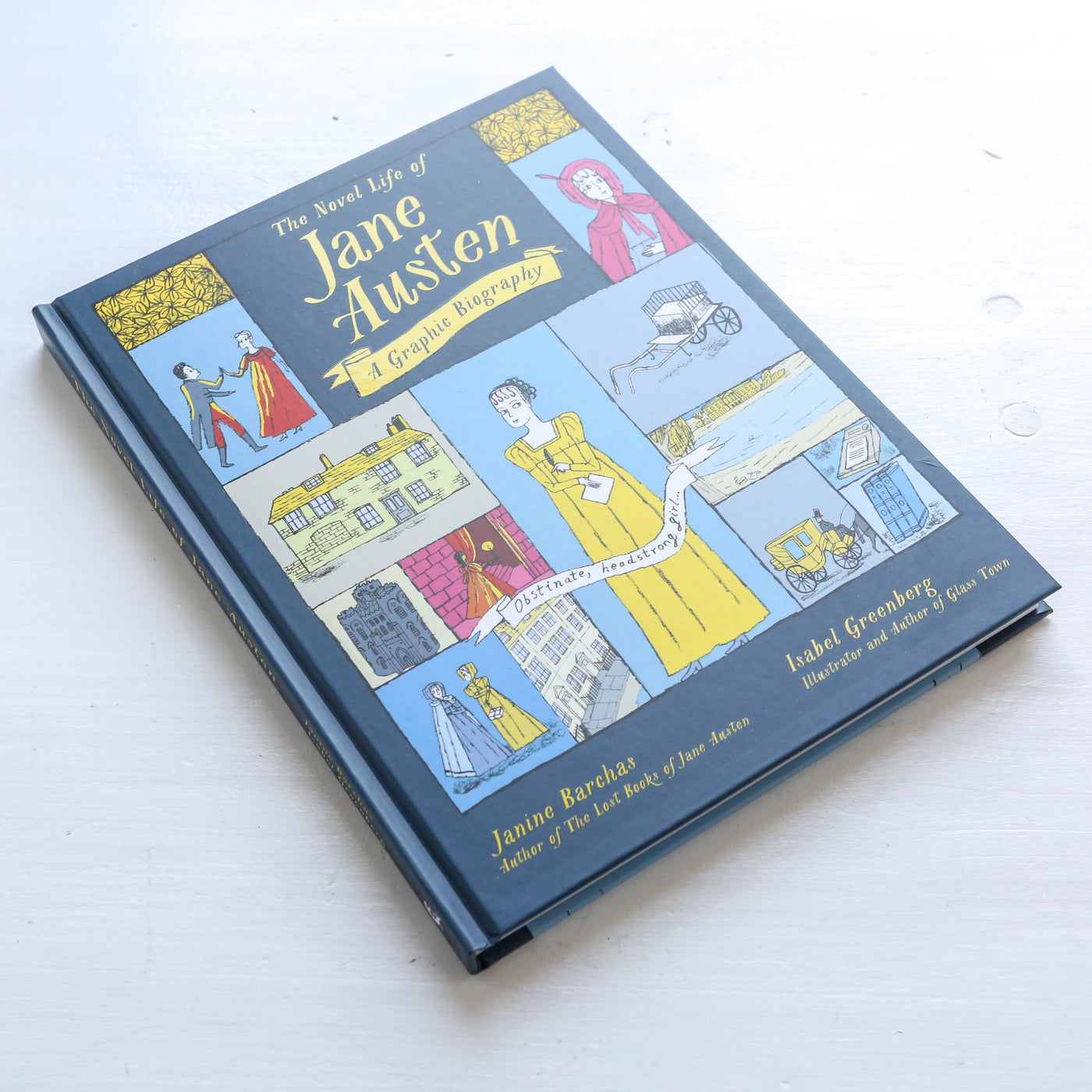 The Novel Life of Jane Austen : A Graphic Biography