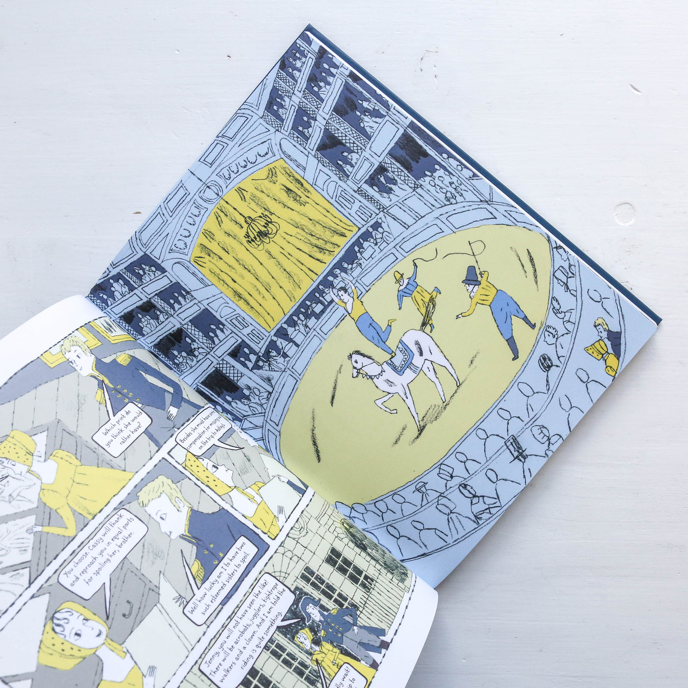 The Novel Life of Jane Austen : A Graphic Biography