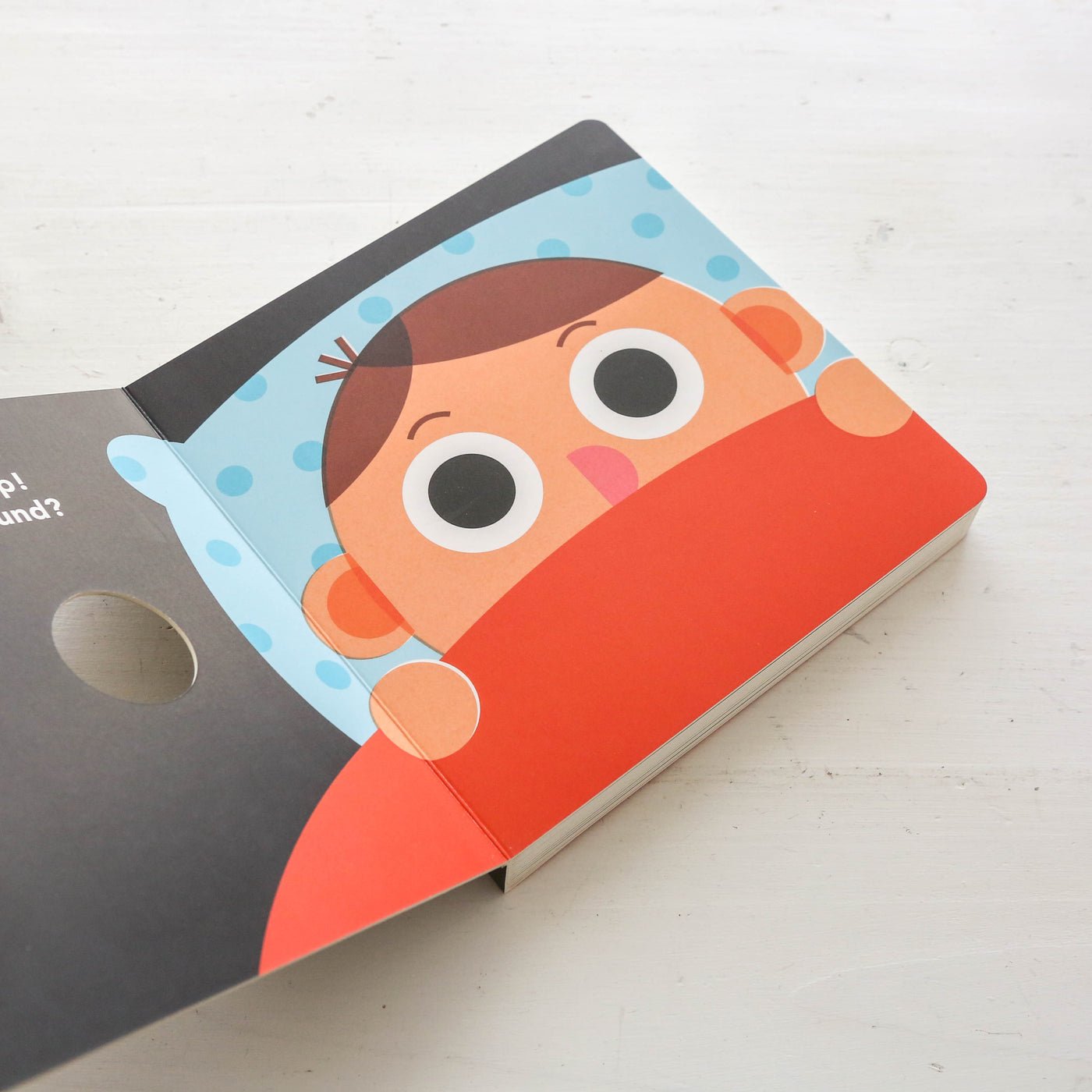 Hoot Hoot Board Book