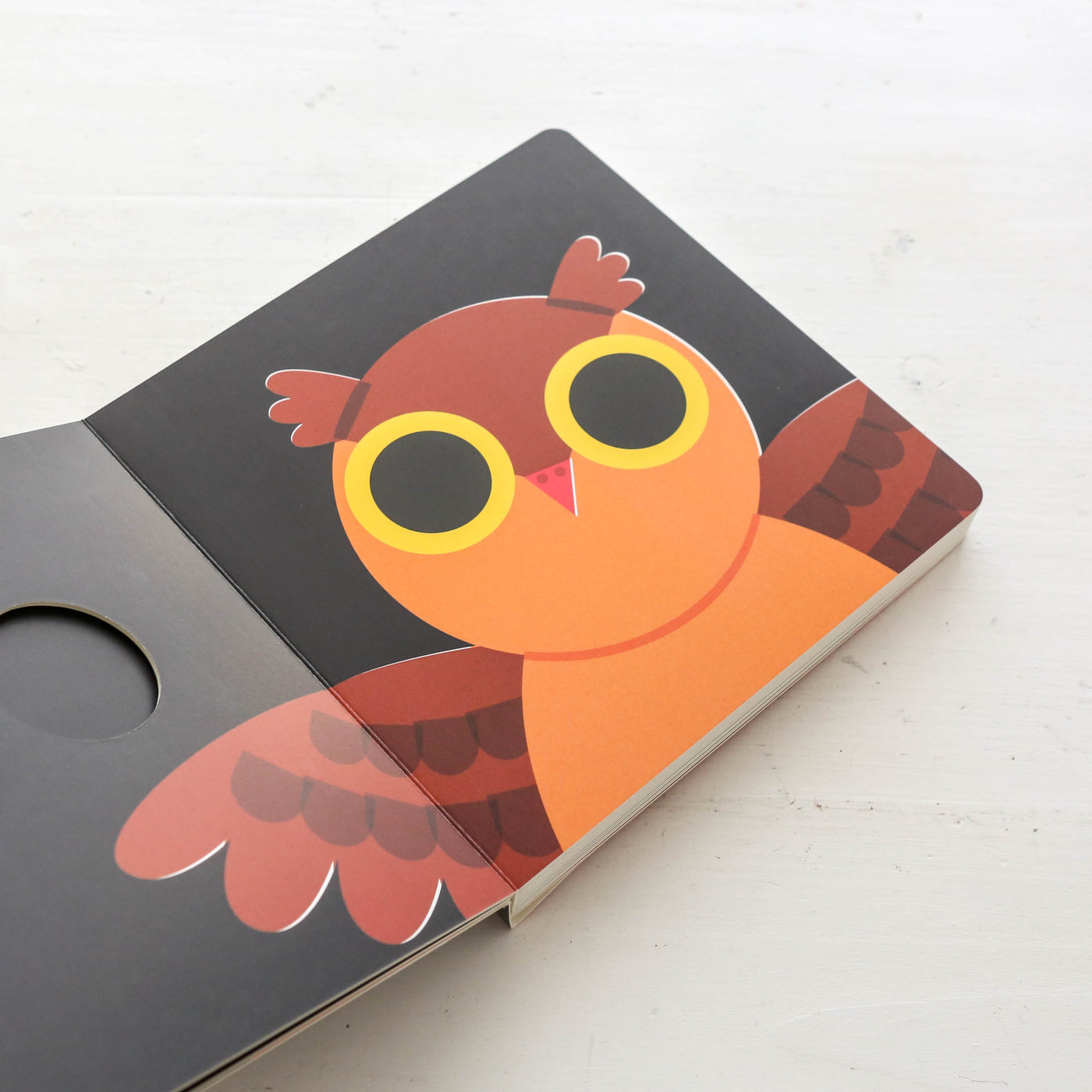 Hoot Hoot Board Book
