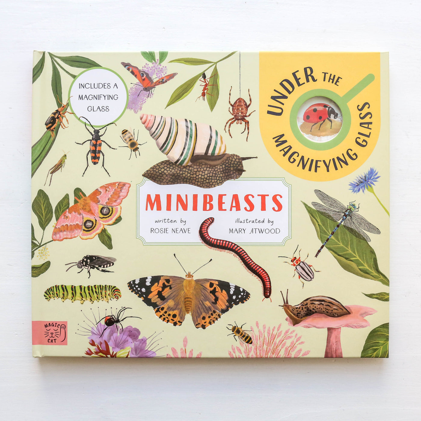 Minibeasts: Under the Magnifying Glass