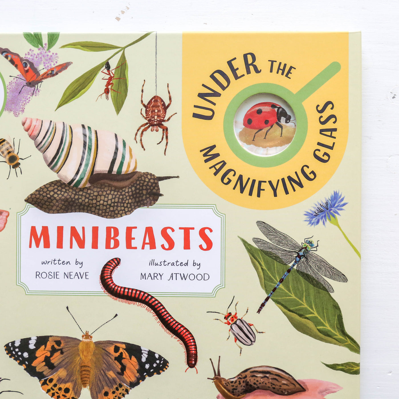 Minibeasts: Under the Magnifying Glass