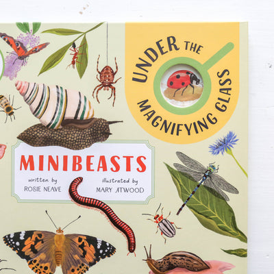 Minibeasts: Under the Magnifying Glass