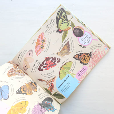 Minibeasts: Under the Magnifying Glass