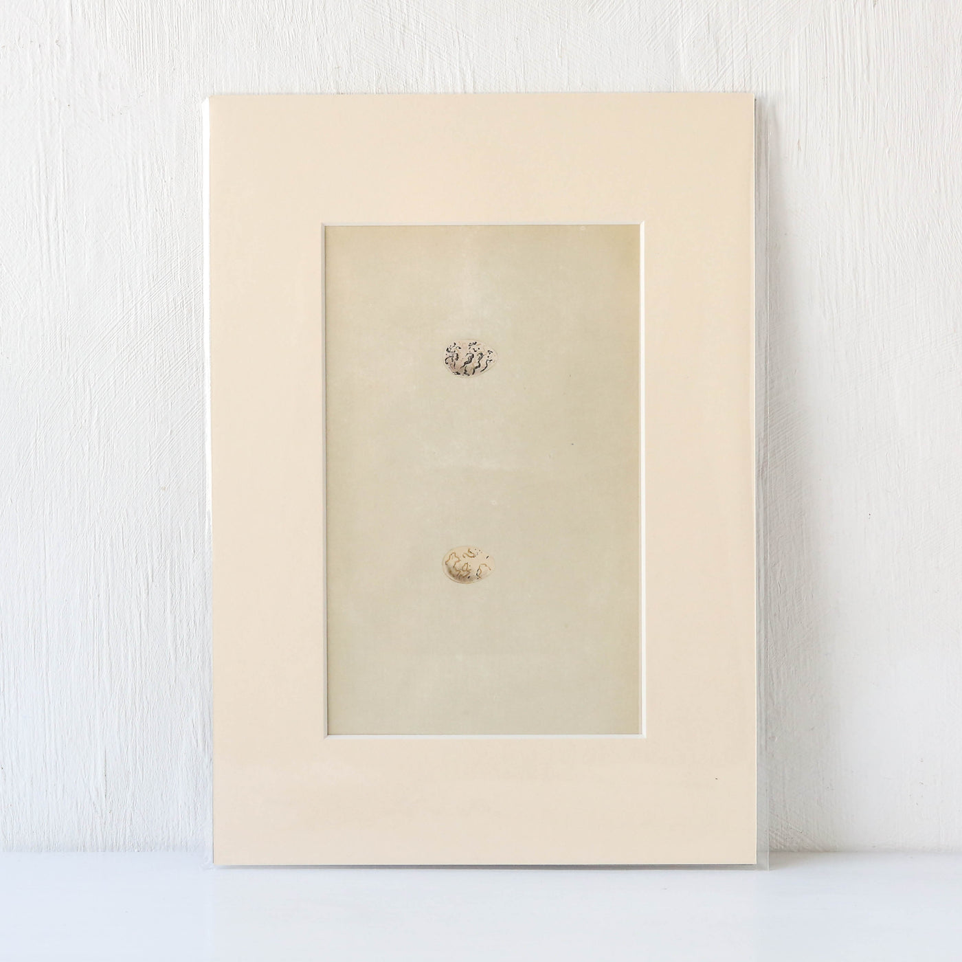Vintage Book Plate - Pair of Brown Speckle Birds Eggs