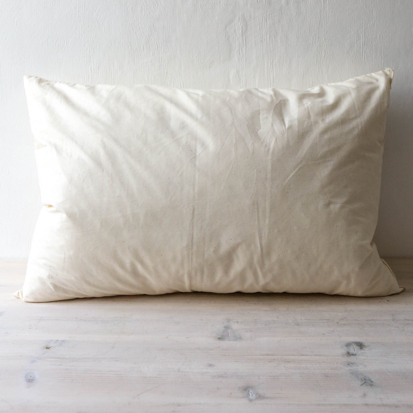 40 x 60 Oblong Feather and Cotton Cushion Pad