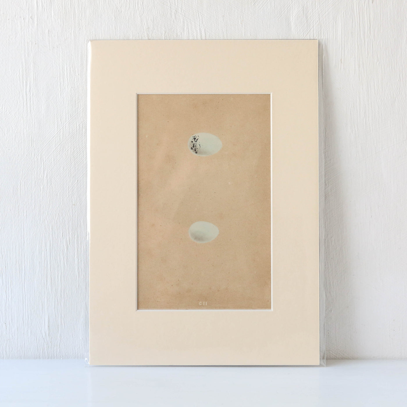 Vintage Book Plate - Blue Speckled Birds Eggs