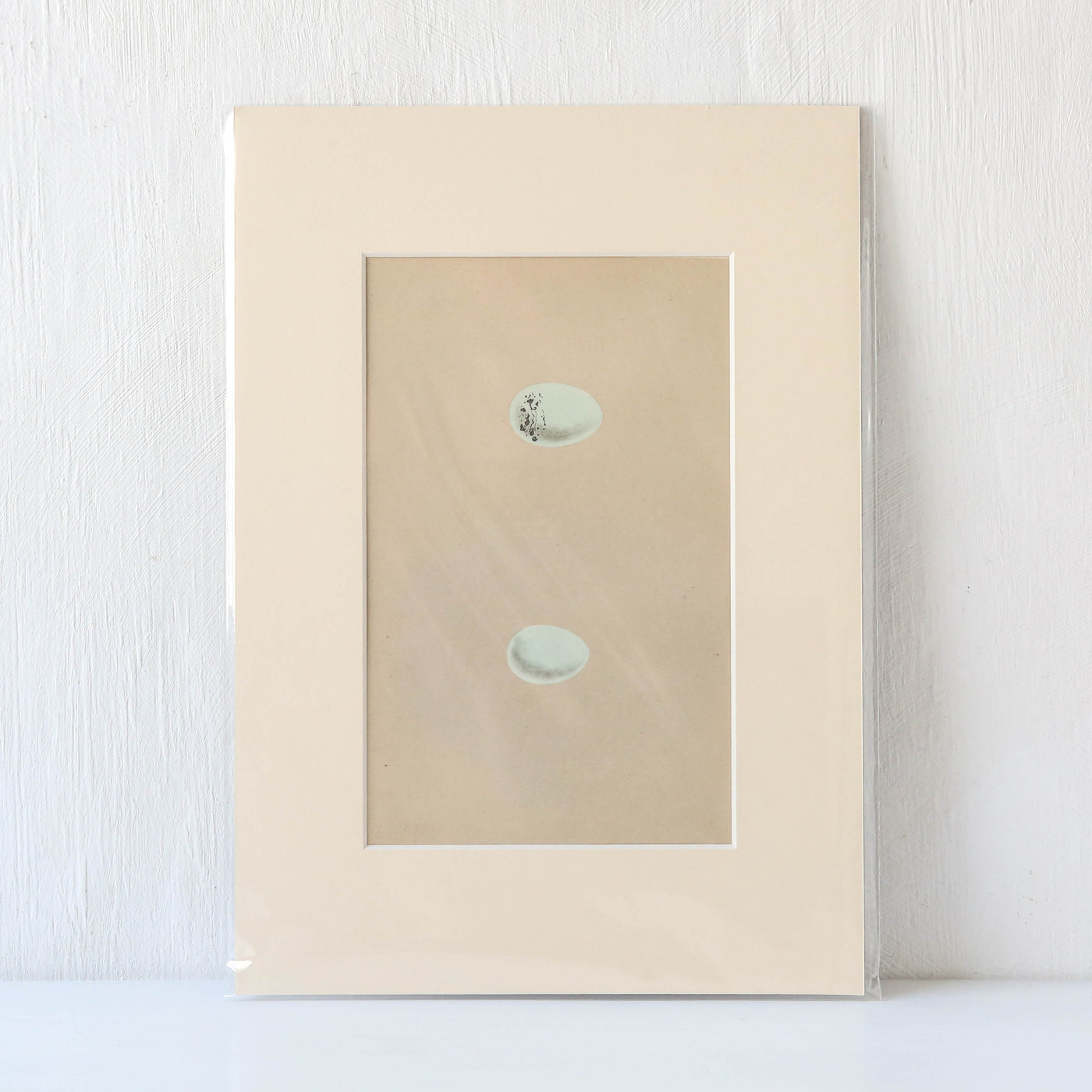 Vintage Book Plate - Blue Speckled Birds Eggs