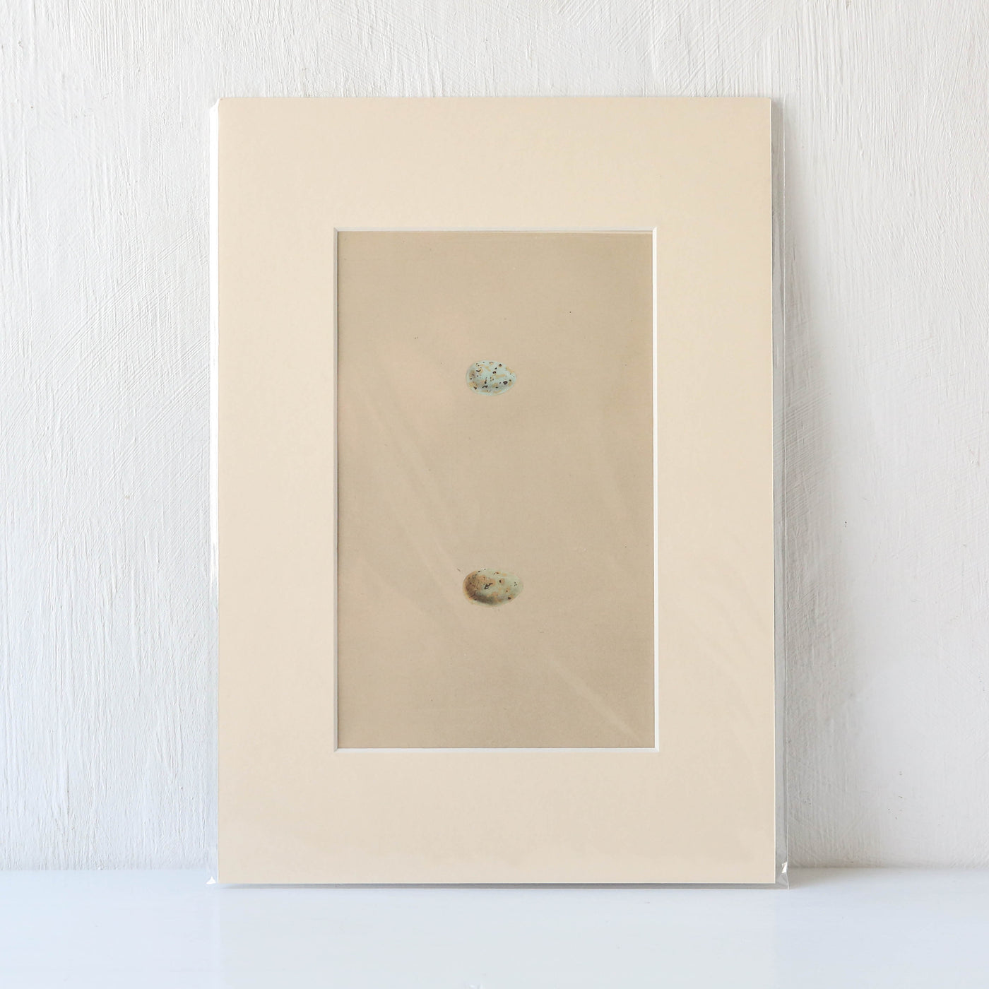 Vintage Book Plate - Blue Speckled Birds Eggs