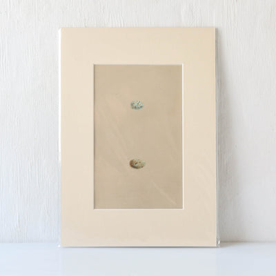 Vintage Book Plate - Blue Speckled Birds Eggs