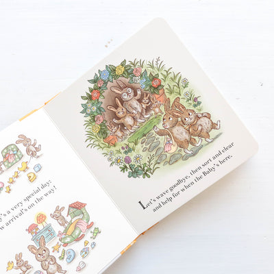 Brown Bear Wood: New Baby Bunny : 100 Newborn Things to Spot