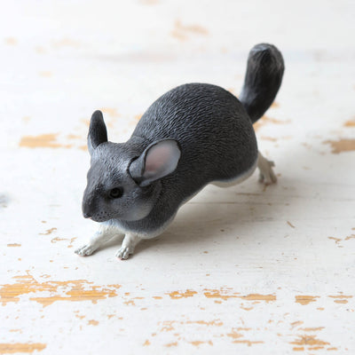Giant Chinchilla