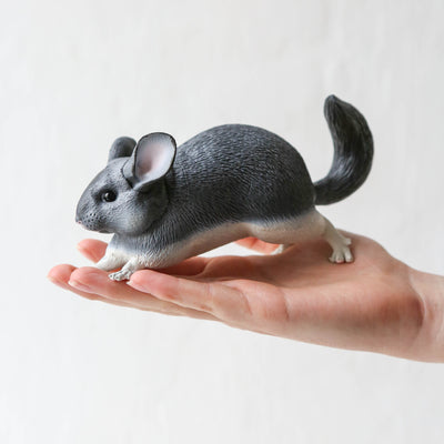 Giant Chinchilla