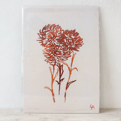 A3 Strawflower Art Print