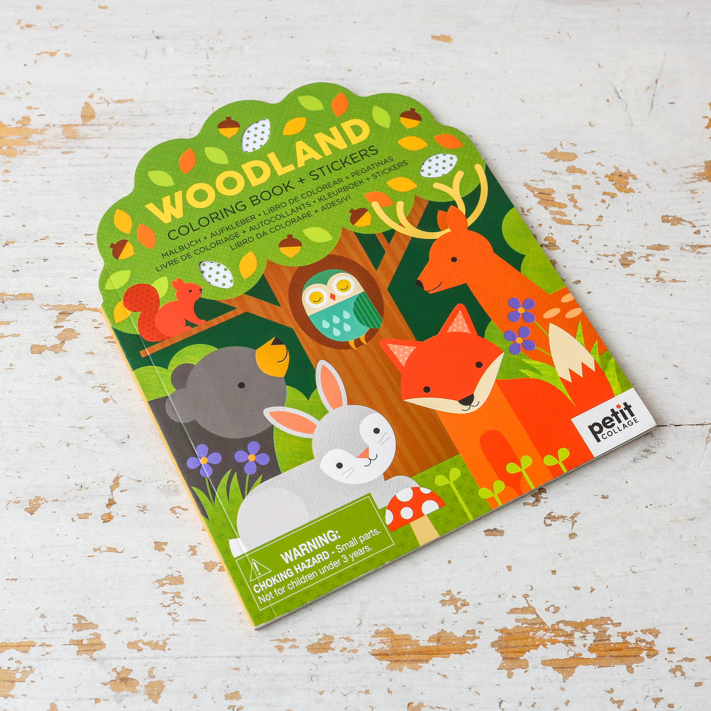 Colouring Book with Stickers - Woodland