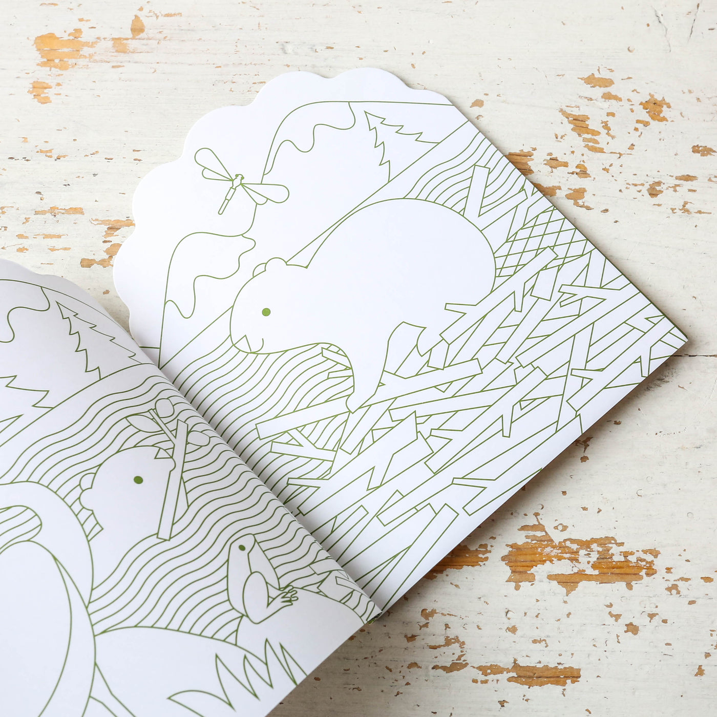 Colouring Book with Stickers - Woodland