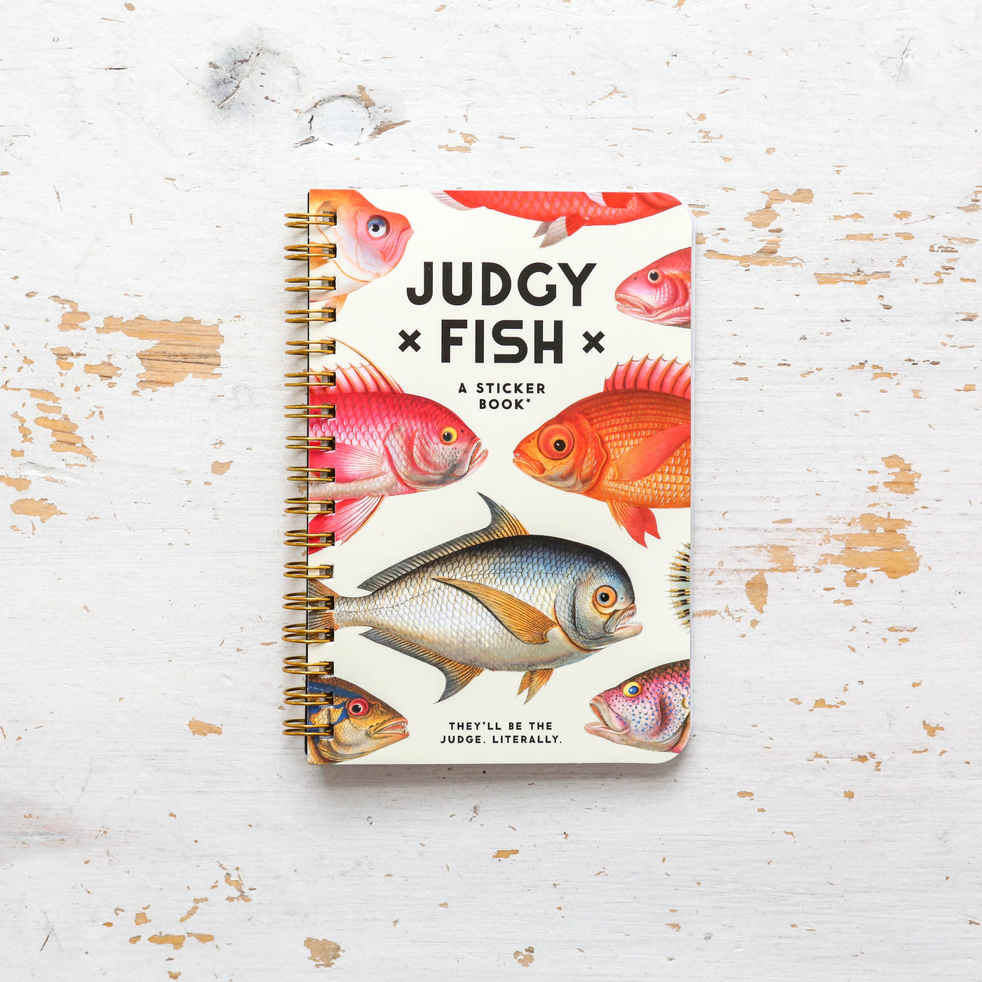 Judgy Fish Sticker Book