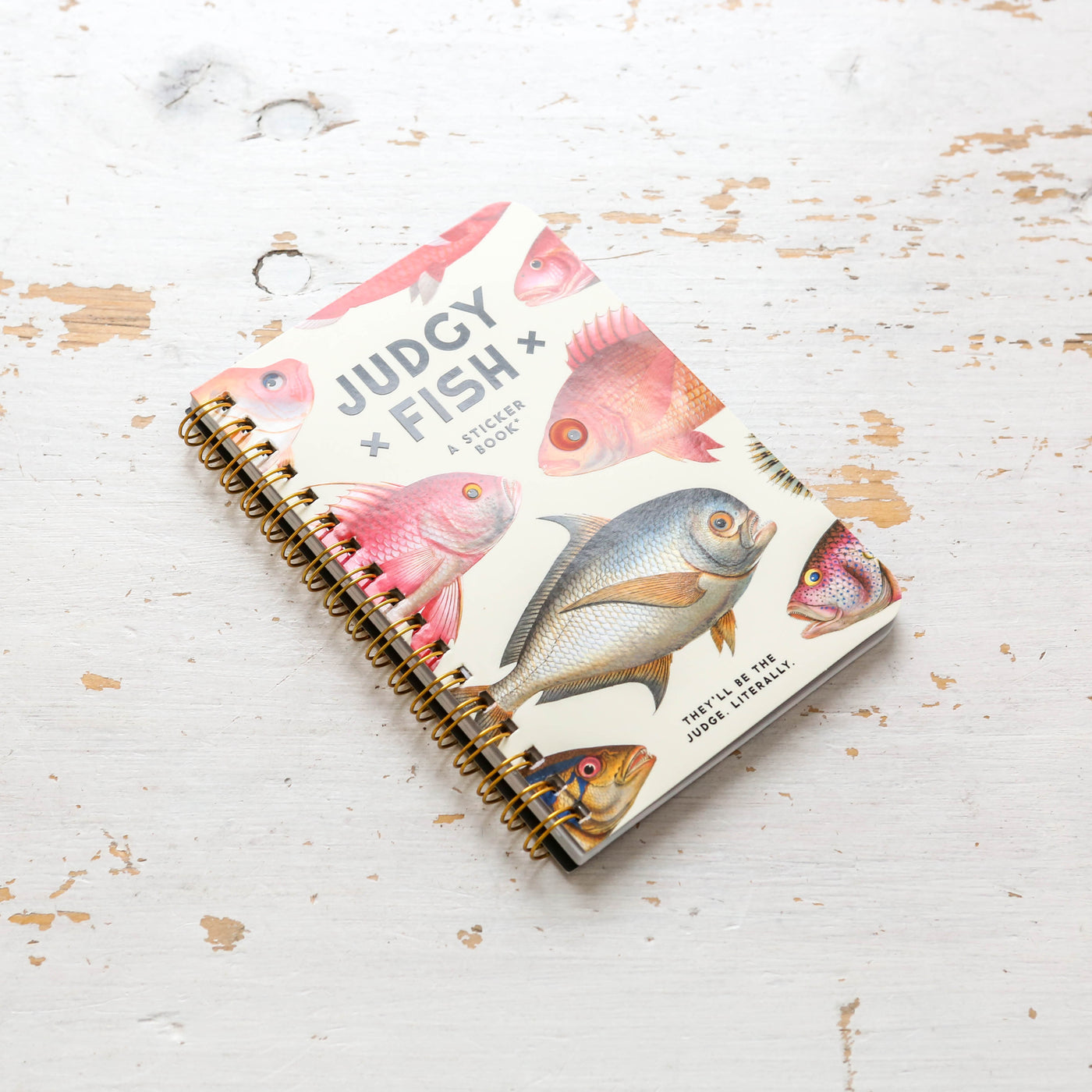 Judgy Fish Sticker Book
