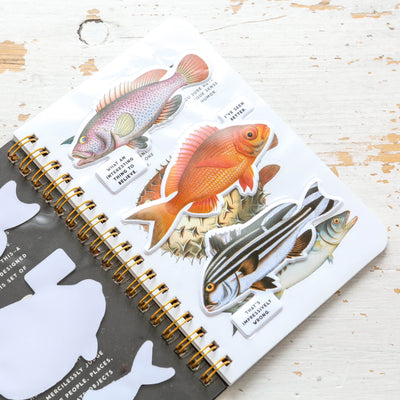 Judgy Fish Sticker Book