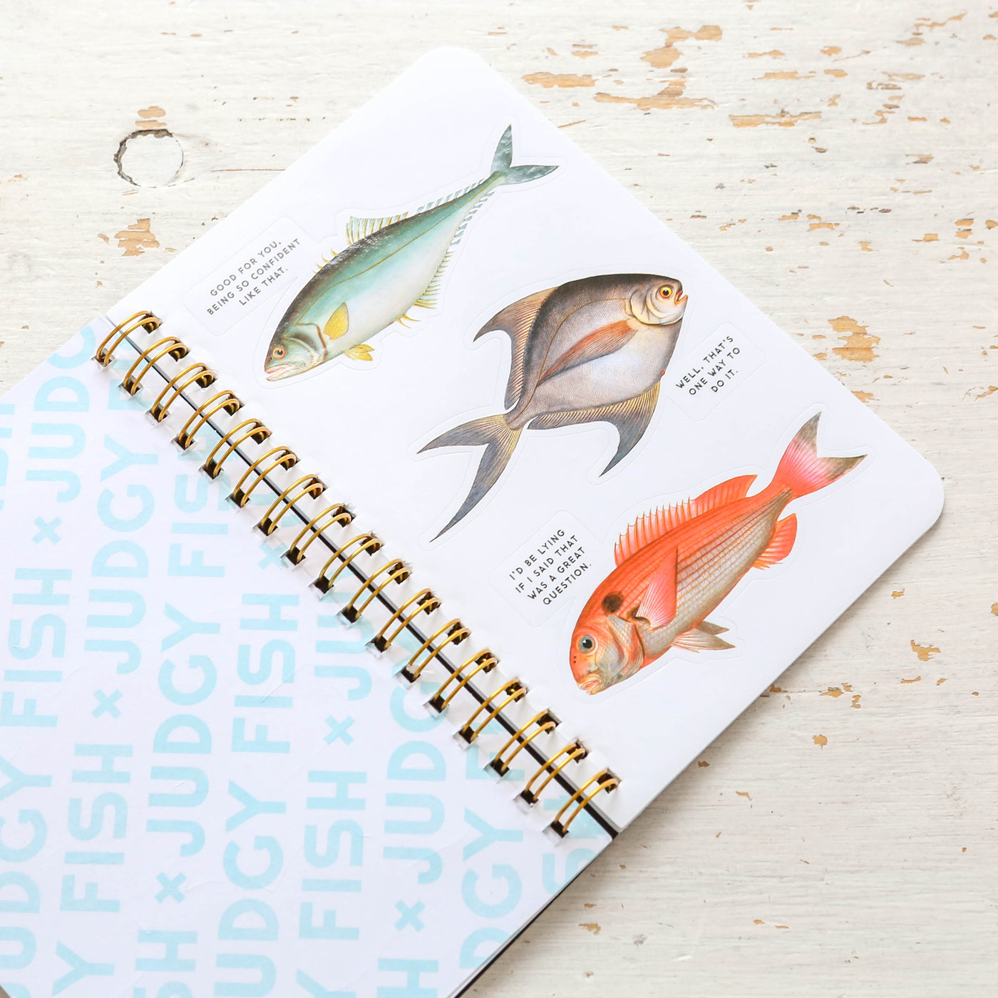 Judgy Fish Sticker Book