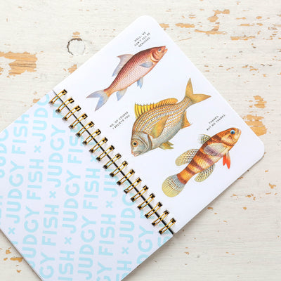 Judgy Fish Sticker Book