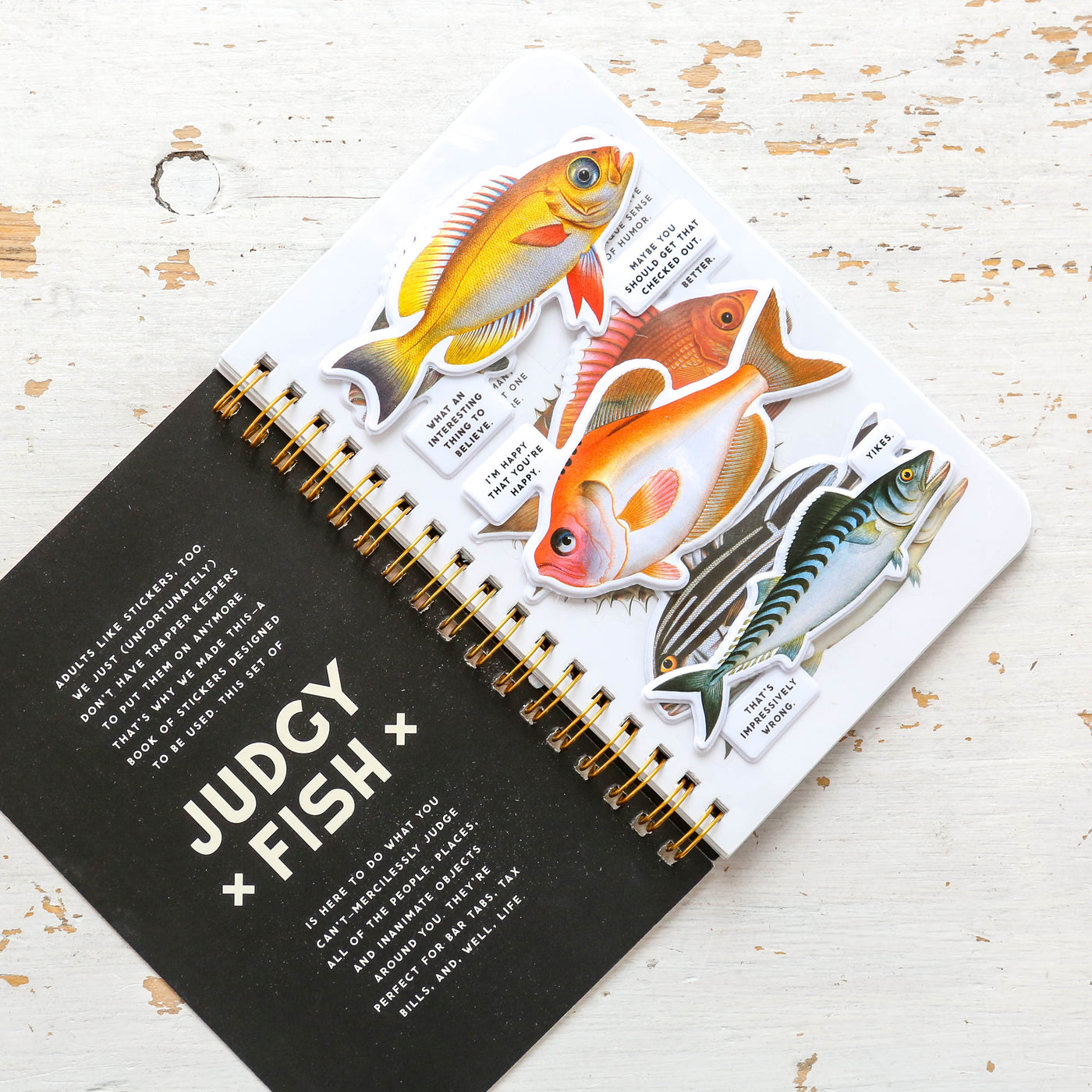 Judgy Fish Sticker Book [Book]