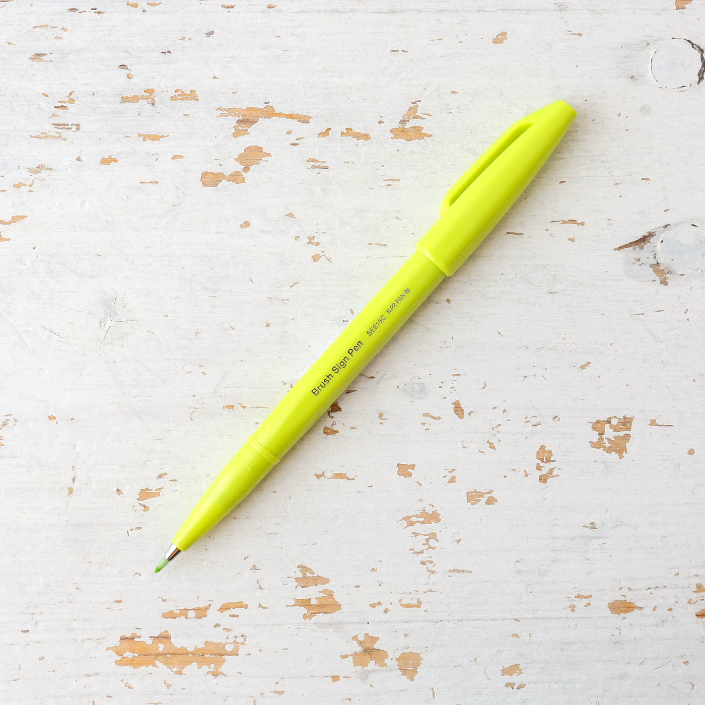 SALE Pentel Touch Brush Tip Sign Pen - Vacation Colours
