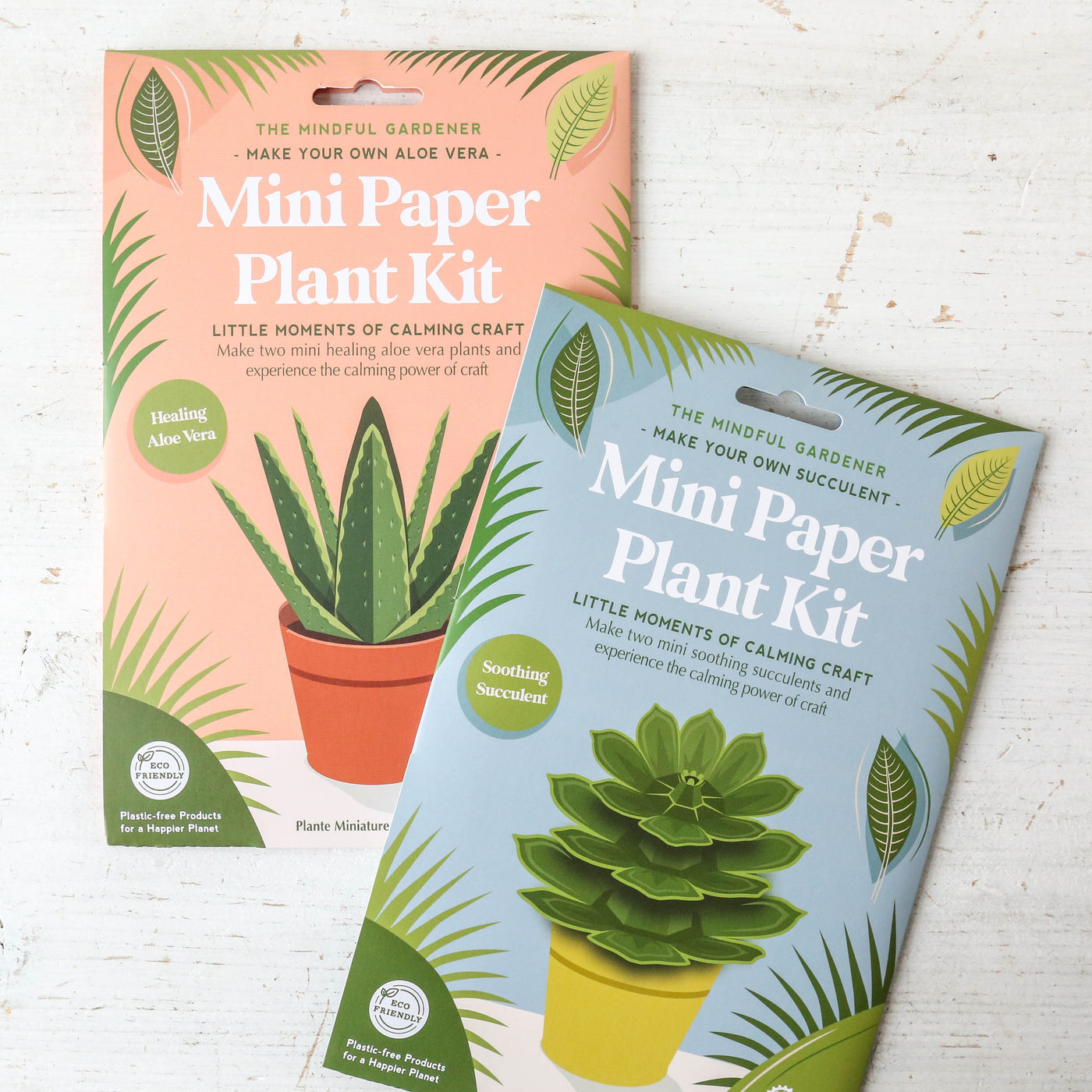 Mini Paper Plant Kit - Succulent