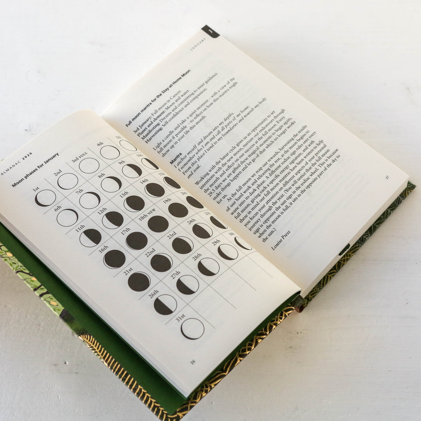 The Almanac: A Seasonal Guide to 2026