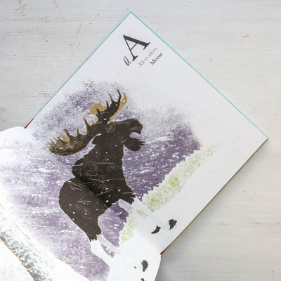 Near The Bear North: An ABC