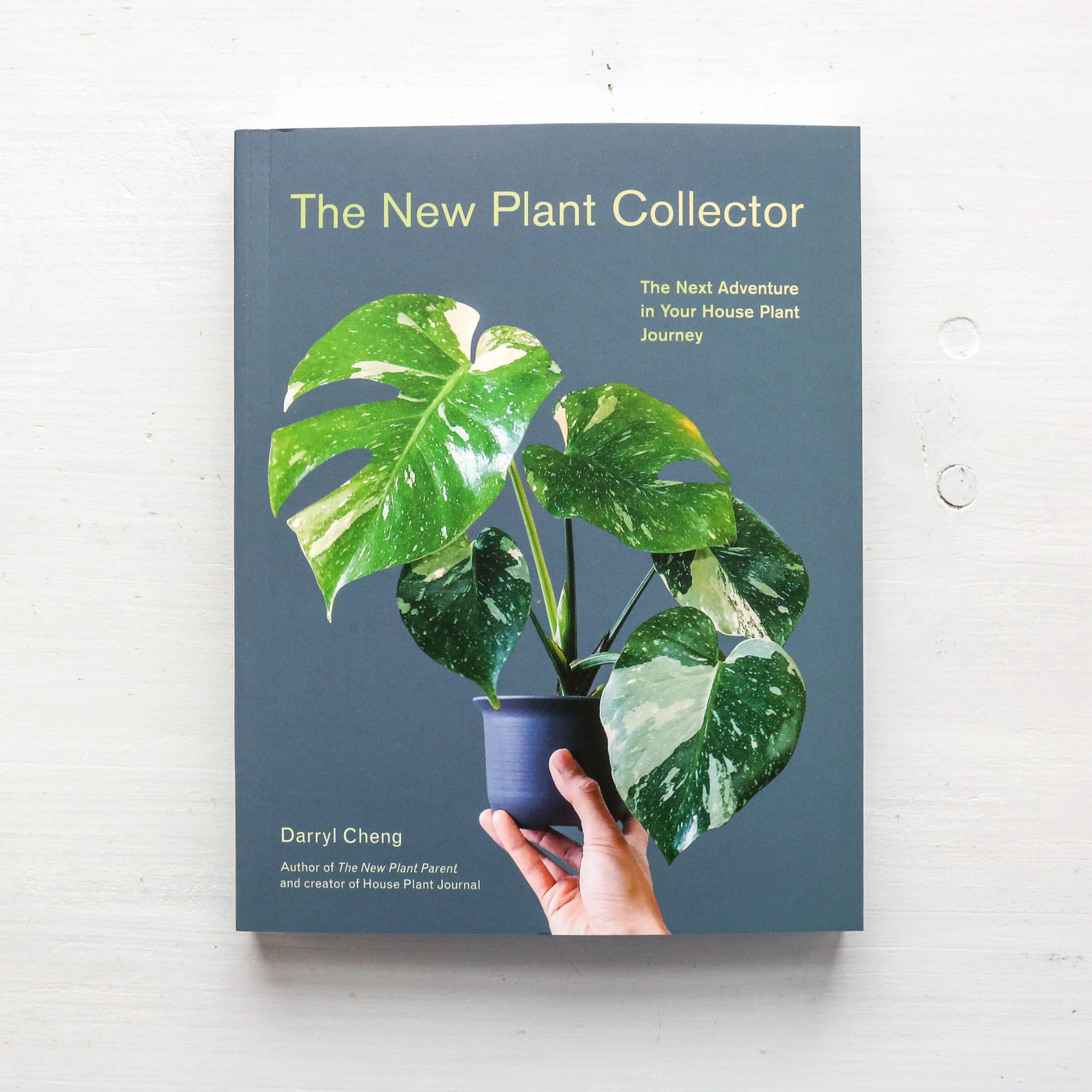 the house plant journal SALE The New Plant Collector – Berylune