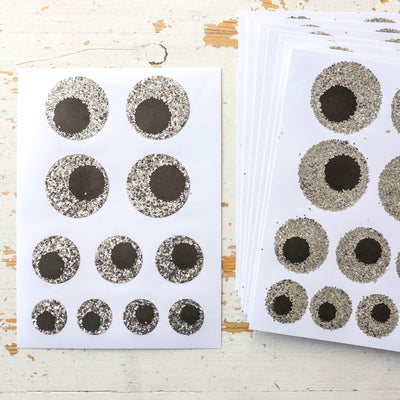 Silver Glitter Eye Stickers