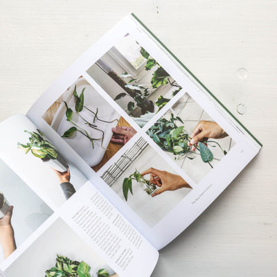 SALE The New Plant Collector
