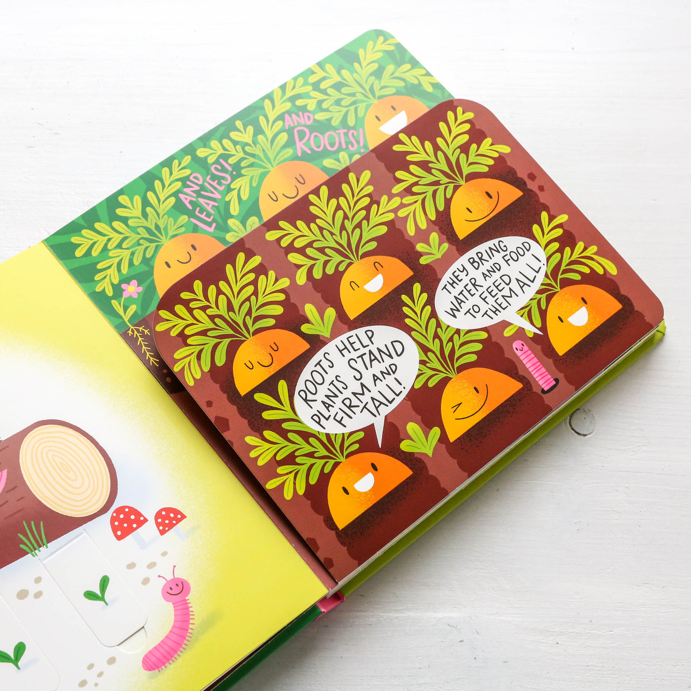 A Seed Will Grow Board Book