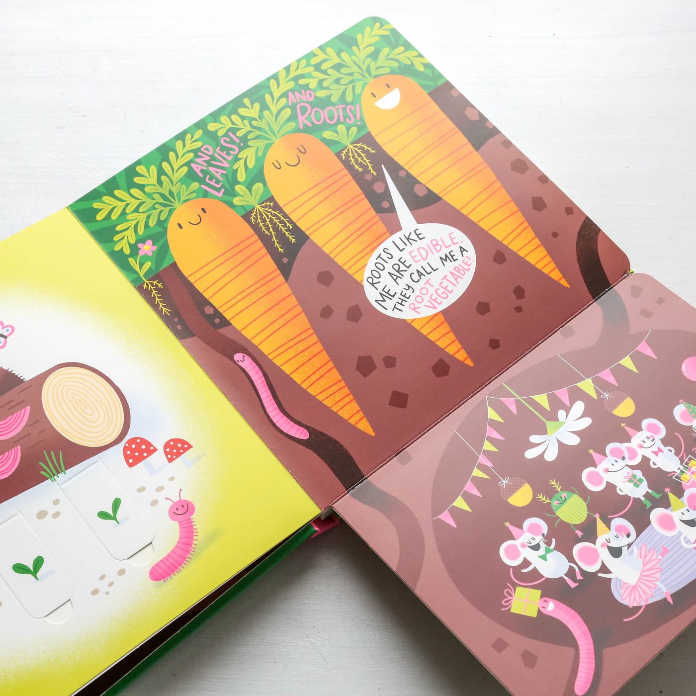 A Seed Will Grow Board Book