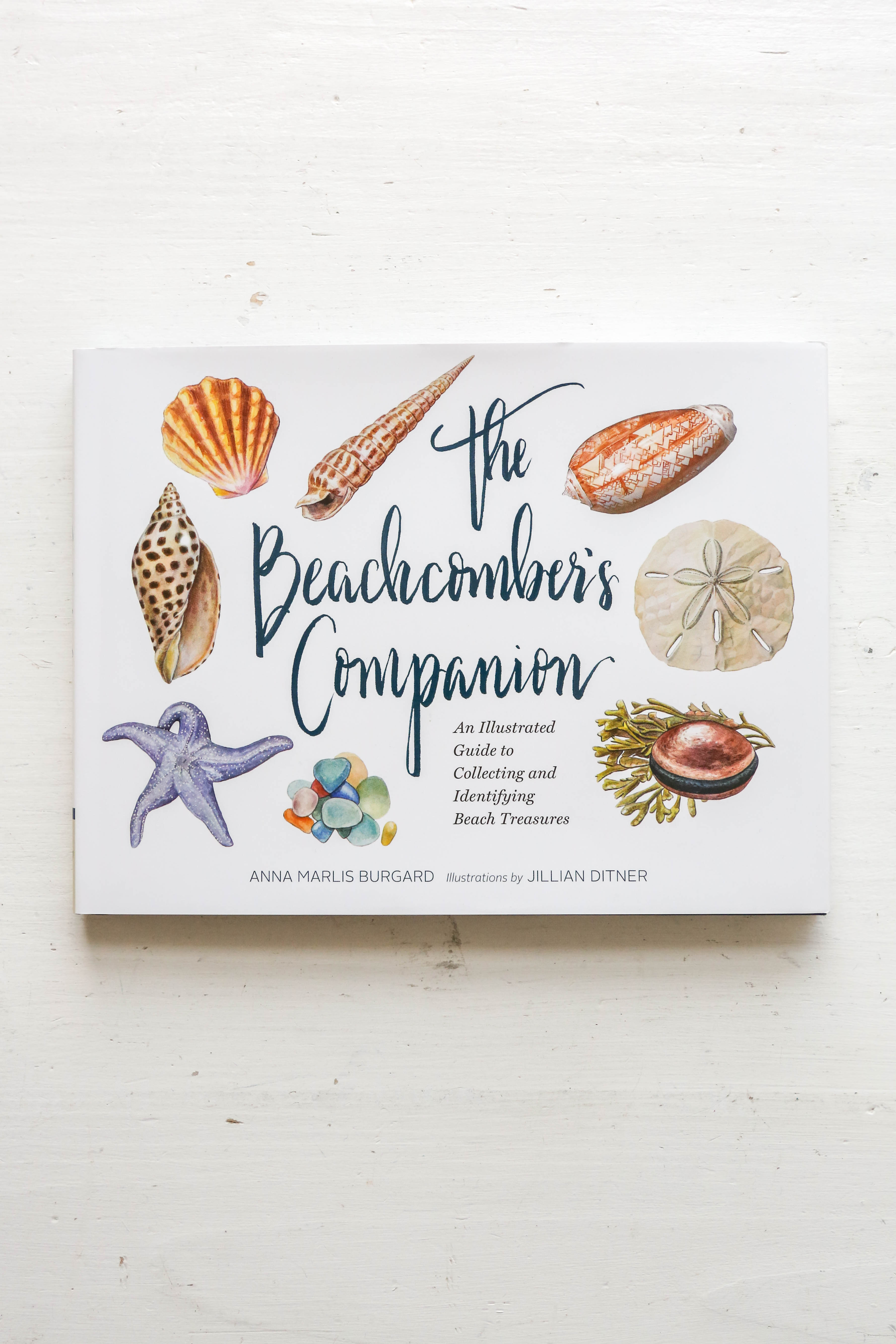 The Beachcomber's Companion - An Illustrated Guide to Collecting and I ...