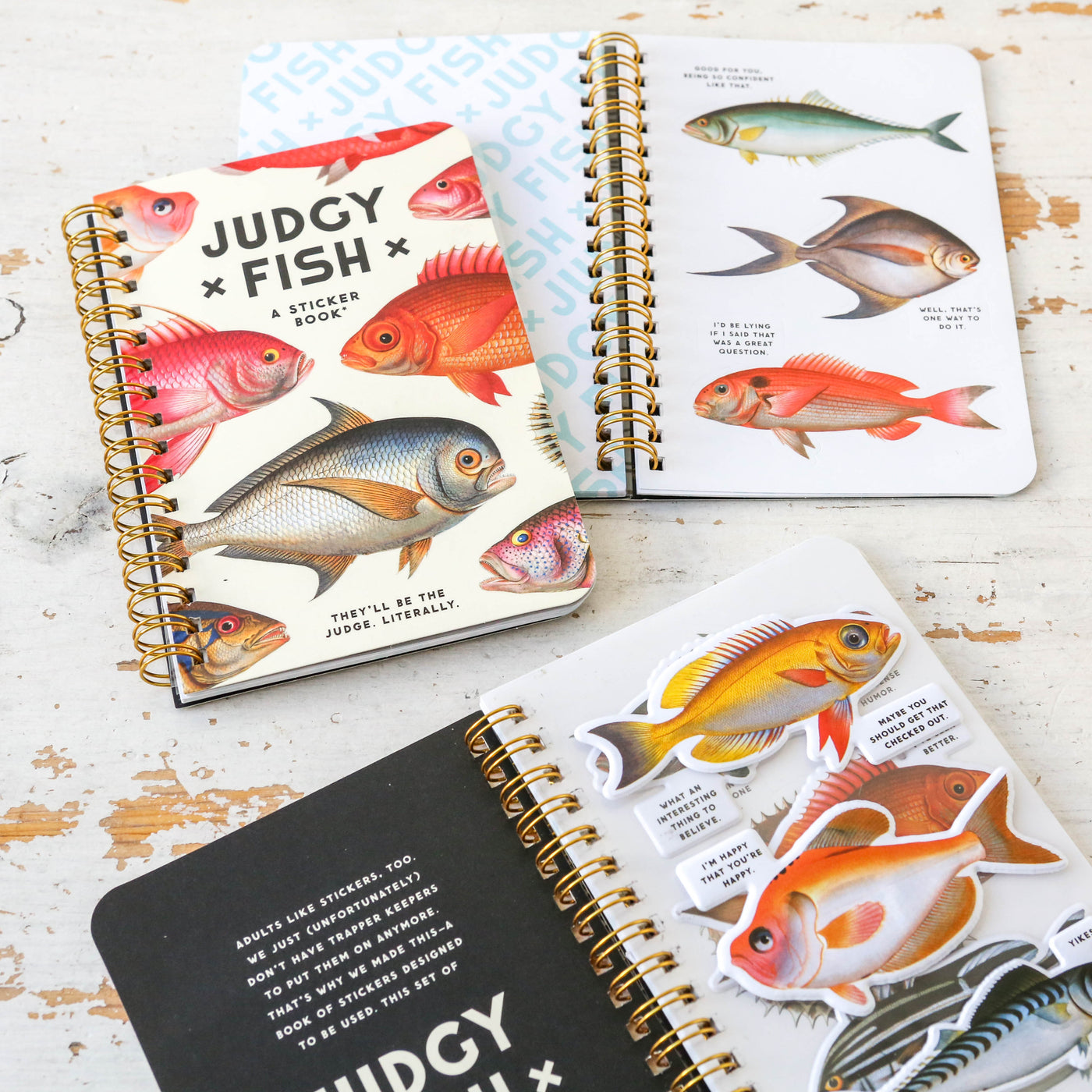 Judgy Fish Sticker Book