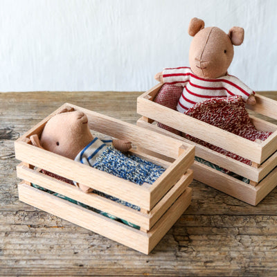 Baby Pig in Box